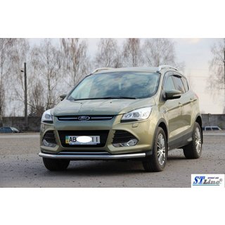 Frontbescherming ST008 (RVS) foto 2