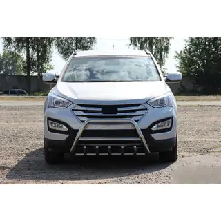 Voorste bullbar WT003 (RVS) foto 3