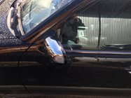 Mercedes E-class W210 1995–2002 Spiegelkappen (2 stuks, RVS) foto 4