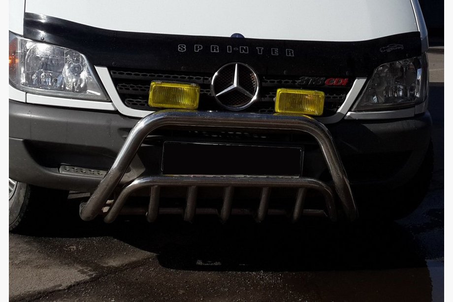 Mercedes Sprinter W901/902/903/904/905 1995–2006 Bullbar WT002 (RVS) Image