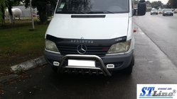 Mercedes Sprinter W901/902/903/904/905 1995–2006 Bullbar WT002 (RVS) foto 2