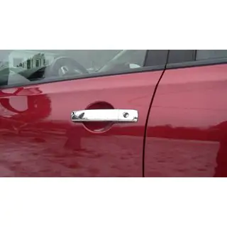 Deurgreepcovers (set 4-delig, RVS)