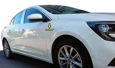 Renault Megane IV 2016–2025 Spatbordverbreders 2016-2020 (RVS) foto 1