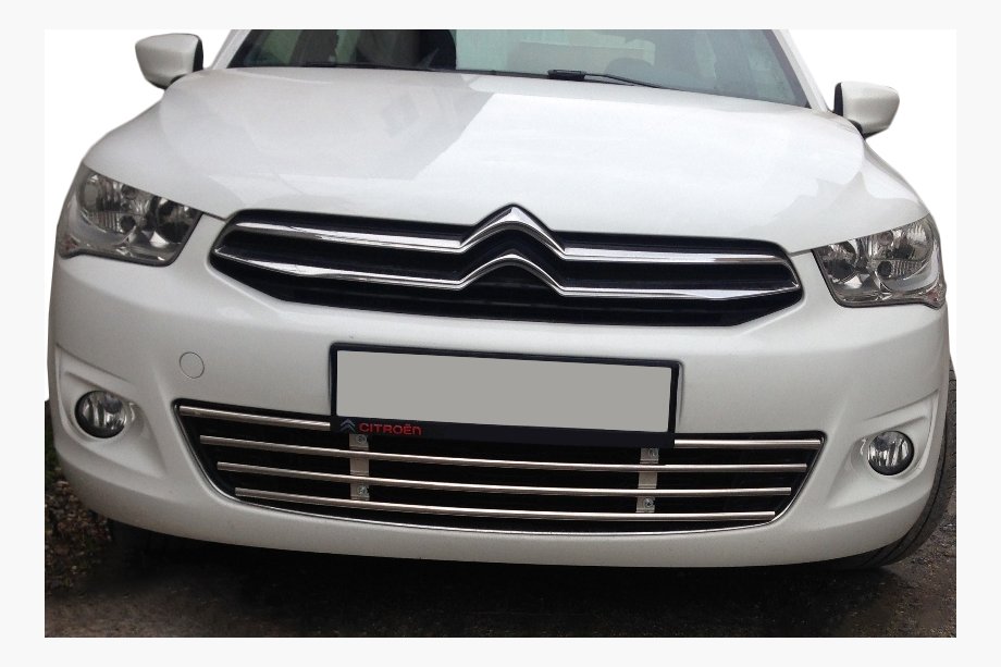 Citroen C-Elysee 2013–2022 Bumperrooster (RVS) Image