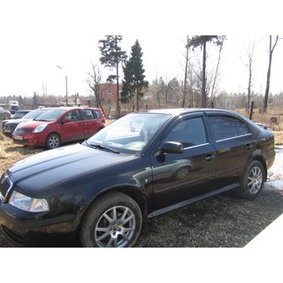 Raamomlijsting (4-delig, RVS) Skoda Octavia I Tour A4 1996–2010 foto 2