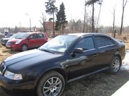 Skoda Octavia I Tour A4 1996–2010 Raamomlijsting (4-delig, RVS) foto 2