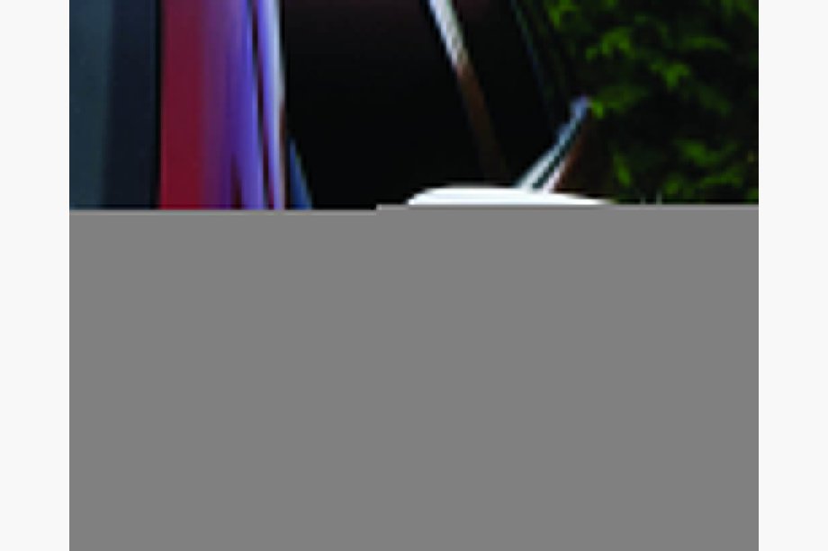 Skoda Fabia 2000–2007 RVS spiegelkappen 2000-2006 (set 2 st.) Image