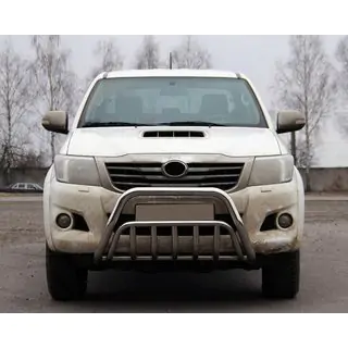 Bullbar WT002 (RVS) foto 1