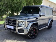 Mercedes G-klasse W463 1990–2018 Voorste bullbar (AMG) foto 1