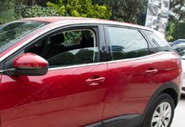 Citroen C5 Aircross 2017–2025 Onderste raamlijsten (8 stuks, RVS) foto 1