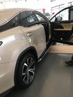 Lexus RX 2016–2022 Zijsteps BlackLine (2 stuks) foto 1