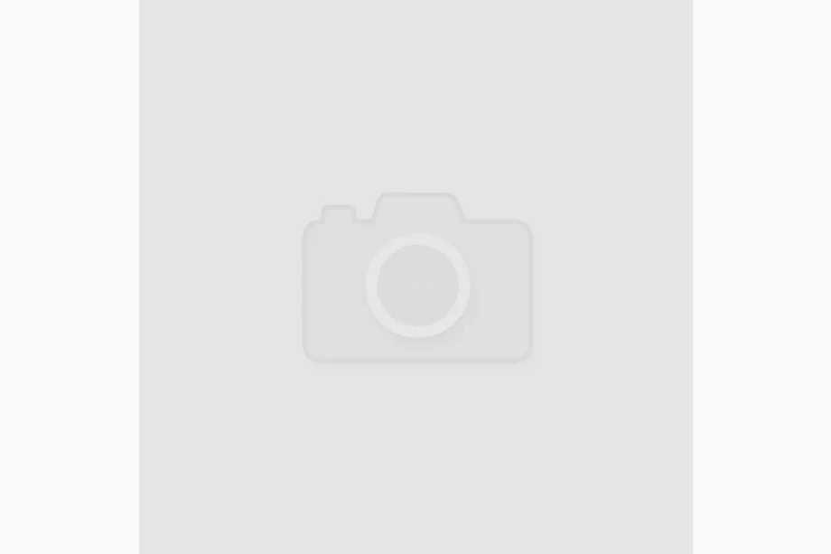 Nissan NV400 2010–2024 Side steps X-5 Econom (2 stuks, aluminium) Image