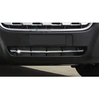 RVS bumperstrip