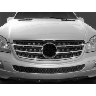 Grille sierlijsten (set van 5, RVS) Mercedes ML W164 2005–2011 foto 1