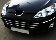 Peugeot 407 2004–2011 Grille (RVS) foto 4