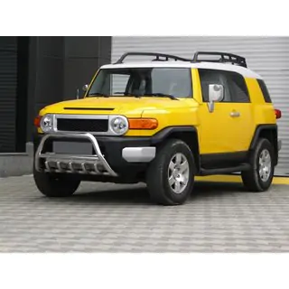 Bullbar WT003 (RVS) foto 2