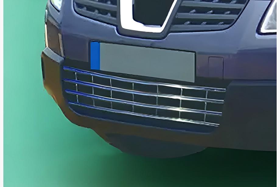 Nissan Qashqai 2007–2010 Bumperrooster (RVS) Image