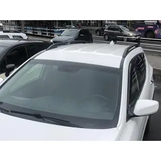 Universele dakrails Skyport 165 cm (zwart) foto 2