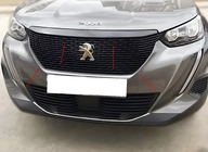 Peugeot 2008 2019– Grilleomlijsting (set van 3, RVS) foto 1