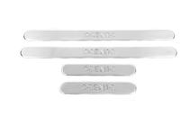 Renault Scenic/Grand 2003–2009 OmsaLine dorpellijsten RVS (set van 4) foto 1