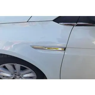 Knipperlicht afdekkappen 2021+ (set van 2, RVS) Renault Megane IV 2016–2025 foto 1
