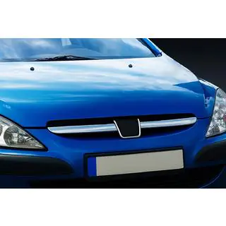 Grille sierlijsten (2001-2005, 2 stuks, RVS)