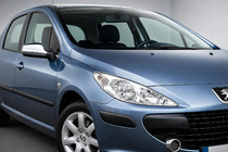 Peugeot 307 2001–2008 Spiegelkappen (set van 2, kunststof) foto 1