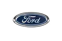 Ford Fiesta 2008–2017 Voorembleem (clipbevestiging) foto 1