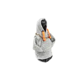 Hoodie versnellingspookhoes (grijs, oranje koord) foto 2