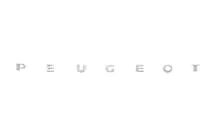 Peugeot Partner 1996–2008 Peugeot opschrift (630 x 25 mm) foto 1