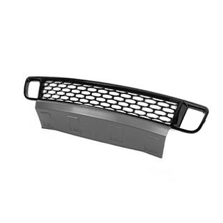 Ondergrille in Autobiography-stijl, type-2 (2010-2013) foto 2