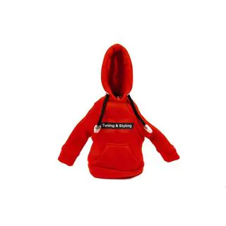 Versnellingspookhoes hoodie V901 (DD) foto 1