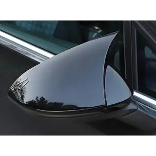 Spiegelkappen RLine-Look (2 stuks)
