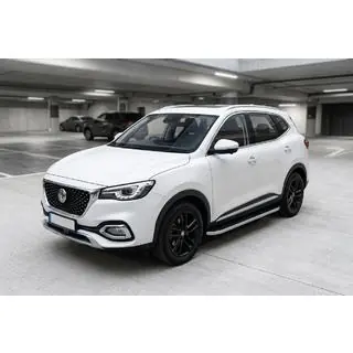 Side steps Tayga Grey (2 stuks, aluminium) foto 1