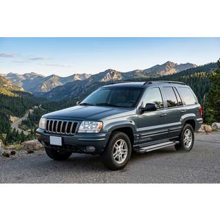 Rainbow zijtreden (set van 2, aluminium) Jeep Grand Cherokee WJ 1999–2004 foto 1