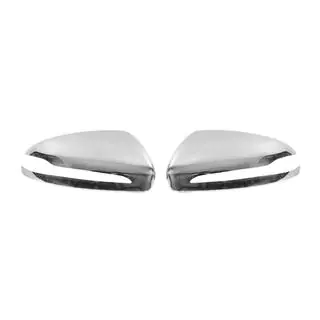 RVS spiegelkappen (2 stuks) foto 2