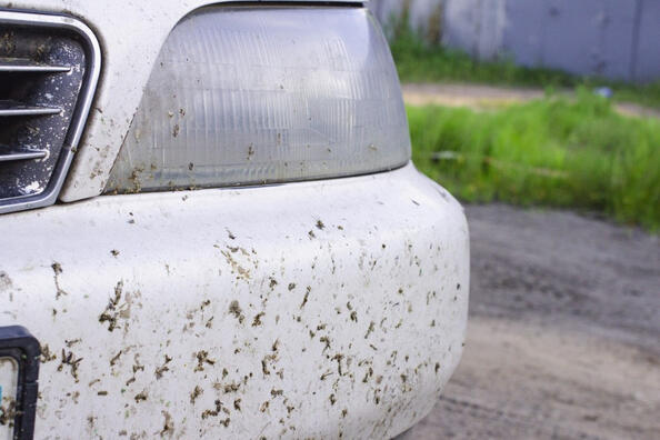 Zo verwijder je snel insectenresten van je auto