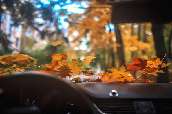 Zo maak je je auto klaar voor de herfst