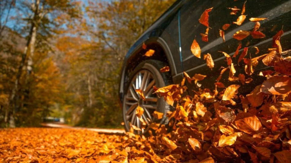 Vijf fouten die in de herfst tot een ongeluk kunnen leiden