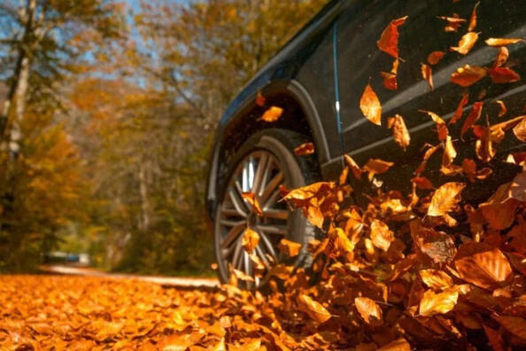 Vijf fouten die in de herfst tot een ongeluk kunnen leiden