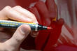 Zo kies je een lakstift voor de auto: tips foto 1