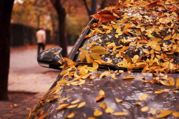 Zo onderhoud je je auto in de herfst