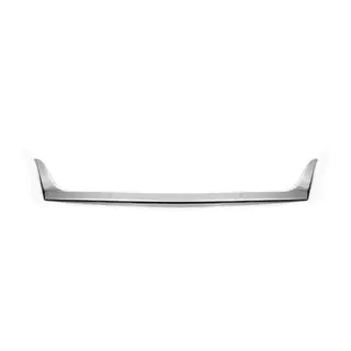 RVS grille-omlijsting 2008-2011 foto 2