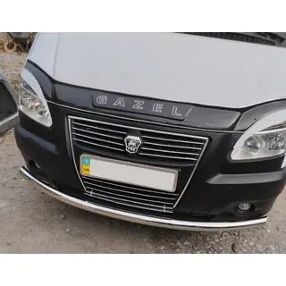 Frontbescherming ST008 (RVS)