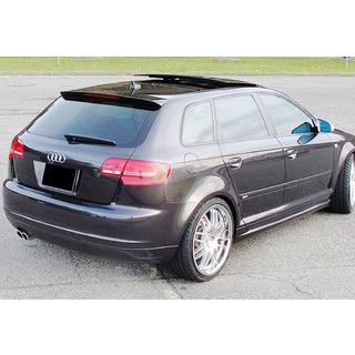 Spoiler DPT V-4 (glanzend zwart) Audi A3 2003–2012 foto 4