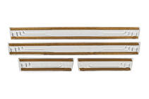 Renault Megane I 1996–2004 Dorpellijsten V-2 (4 stuks, RVS) foto 4
