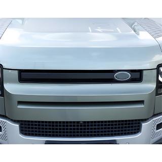 Grille insert foto 2