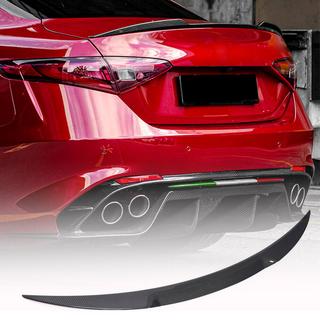 Spoiler V5 (Dry Carbon) foto 1