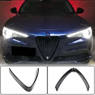 Afdekking voor radiateurgrille (2017-2023, droog carbon) foto 1