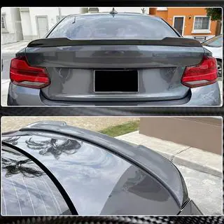 CS-Style spoiler (voor F22, carbon) foto 2